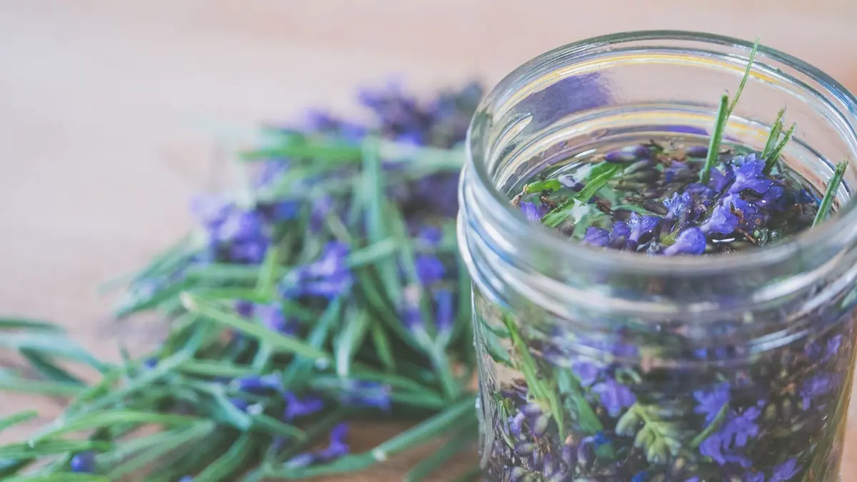 Illustration de l'article « Herbes fraîches : le guide de conservation »