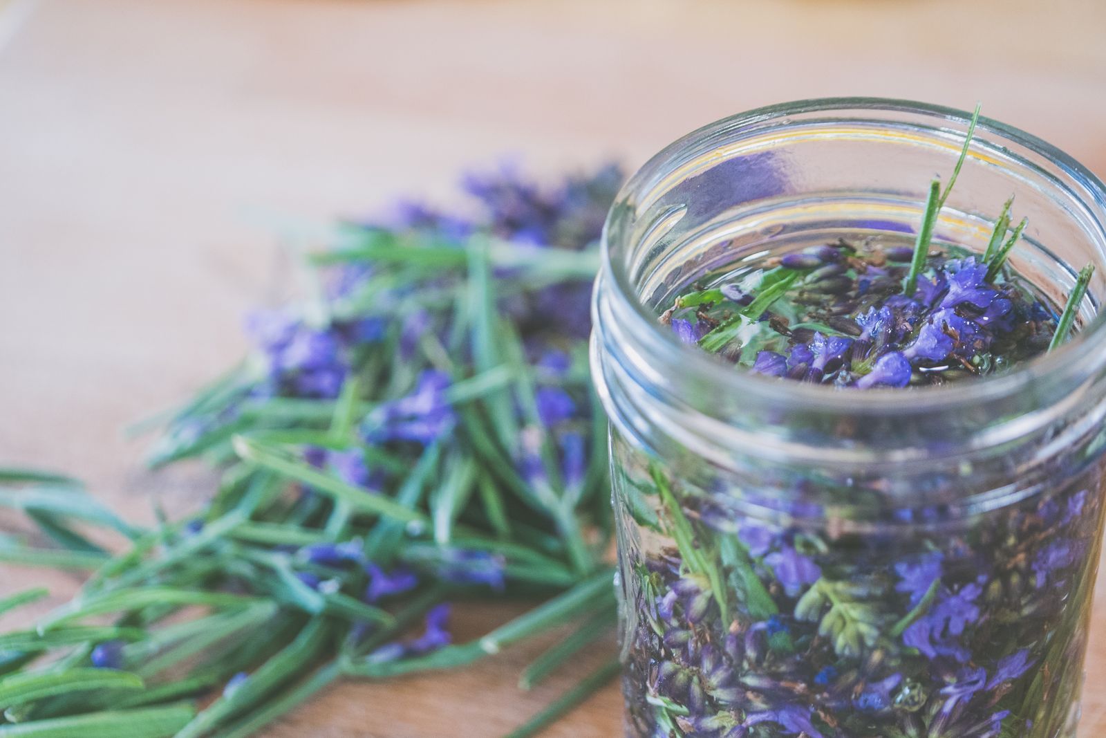 Herbes fraîches : le guide de conservation